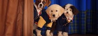 ¿que personaje de academia de cachorros eres?