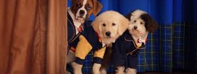 ¿que personaje de academia de cachorros eres?