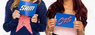 que personaje eres de sam y cat