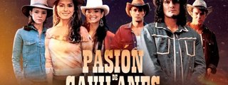Cuanto sabes de la novela de los gavilanes 