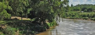 Cuestionario Región folclórica Litoraleña 4° Grado