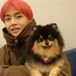 Su mascota es  - Cuanto sabes de kim taehyung ?