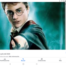 Nombre completo de Harry Potter - Cu&aacute;nto sabes sobre Harry Potter