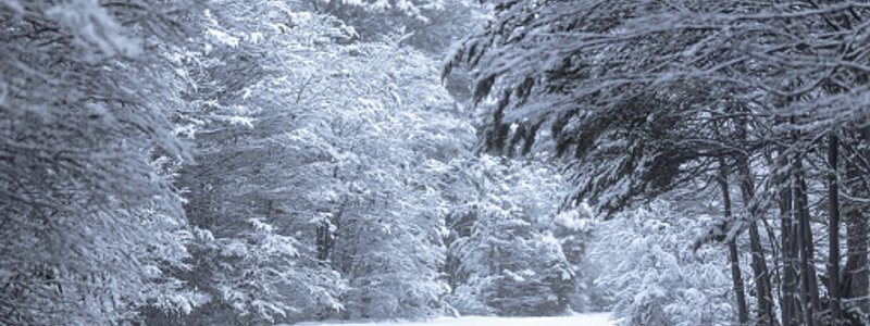 La Mara y el invierno - Leyenda tehuelche