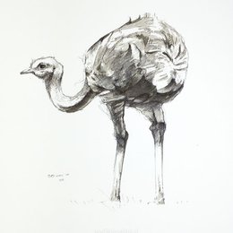 "La mara y el &ntilde;and&uacute;" es una leyenda porque:  - La Mara y el invierno - Leyenda tehuelche