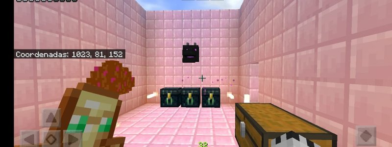 test de minecraft