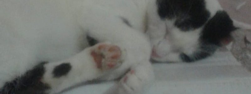 La bebesita bebelin xd