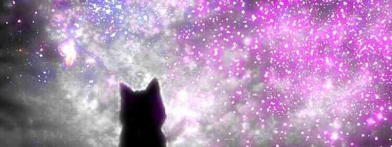 Que tanto me conoces