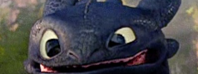 Cuando sabes de como entrenar a tu dragon