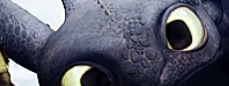 Cuando sabes de como entrenar a tu dragon