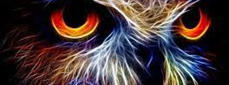 Que animal m&aacute;gico eres 