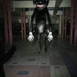 hay un gato negro como se llama - cuanto sabes de los monstruos de trevor henderson