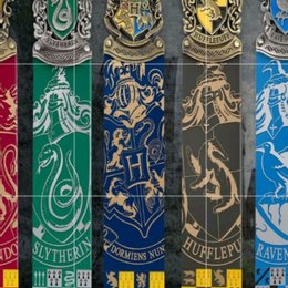 En qu&eacute; casa fue clasificada? - &iquest;Cu&aacute;nto sabes de Nymphadora Tonks?