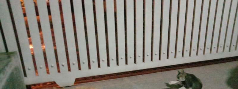 Preguntas random 😈