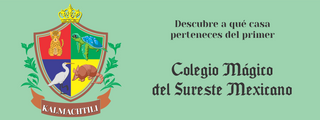 Preguntas y respuestas: COLEGIO M&Aacute;GICO DEL SURESTE MEXICANO KALMACHTILI