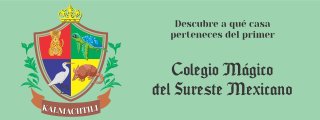 Preguntas y respuestas: COLEGIO M&Aacute;GICO DEL SURESTE MEXICANO KALMACHTILI