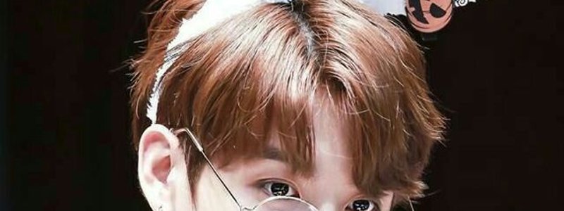 Eres la chica ideal de jungkook?