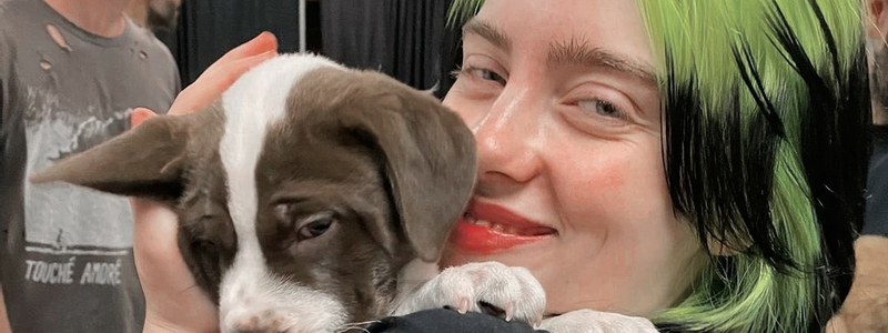 Cu&aacute;nto sabes de billie? V. 2020