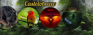 Descubre tu casa de castelobruxo