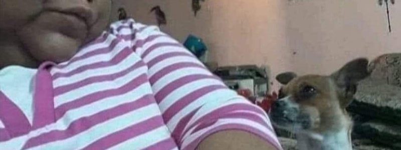 Que personajeP3 eres? 