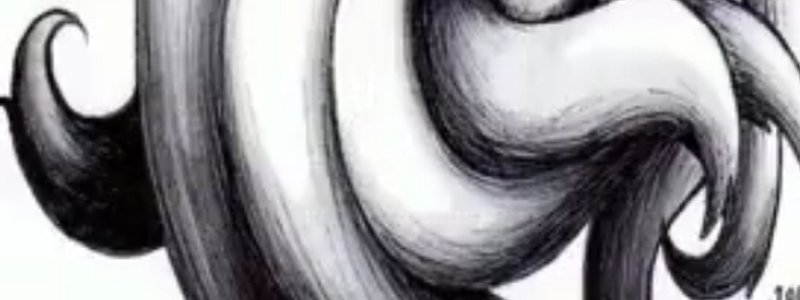 Eres kitsune yako o eres un zenko