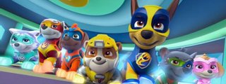 Test de Paw Patrol
