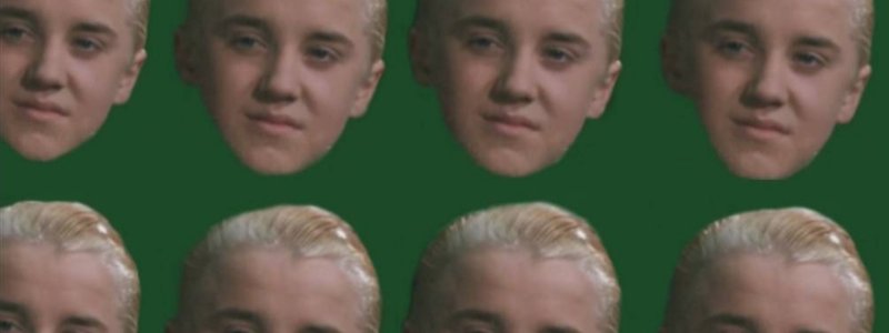 De qué familia perteneses de harry potter 