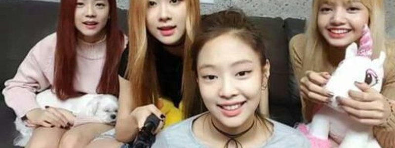 ¿A quien de Blackpink te pareces? 