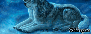 cuanto sabes sobre lobos