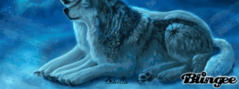 cuanto sabes sobre lobos