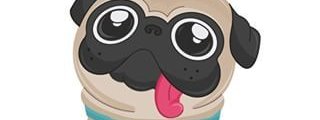 pug