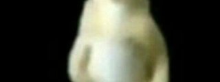 Panafresco