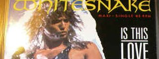 Preguntas y respuestas: WHITESNAKE  -  IS THIS LOVE?