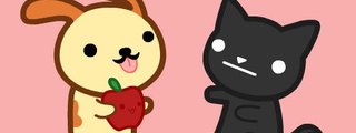 gatos o perros