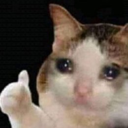 Quien es Fetucchini? - Cu&aacute;nto sabes de Fetucchini