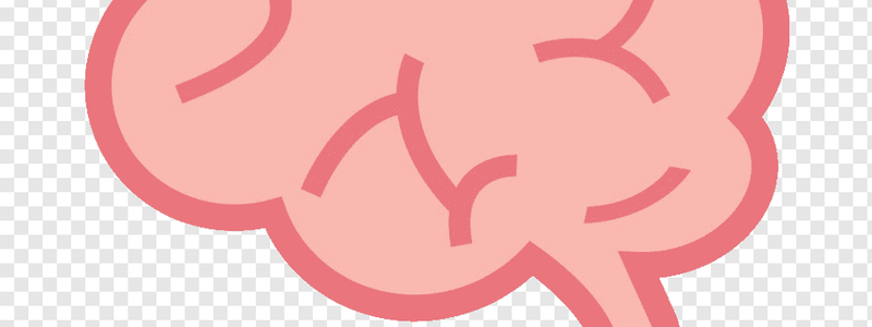 ¿cuanto sabes del cuerpo humano?
