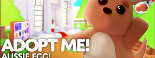 TEST PARA LOS QUE JUGAN ROBLOX