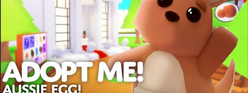 TEST PARA LOS QUE JUGAN ROBLOX
