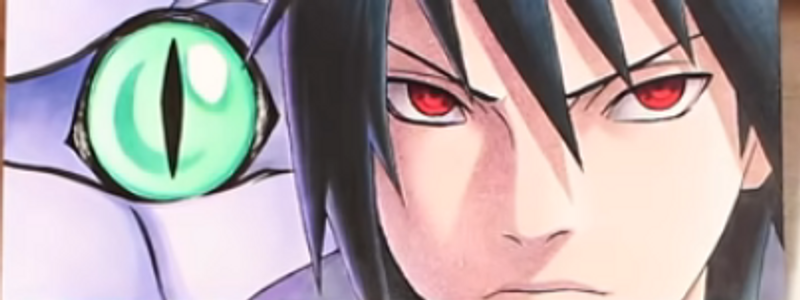 que miembro del equipo 7 eres
