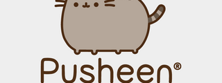 Que pusheen eres?