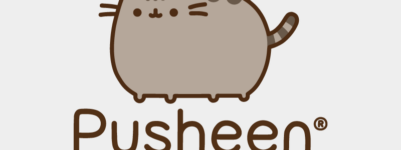 Que pusheen eres?