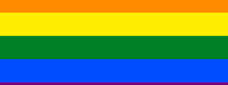 eres gay