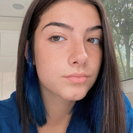 el ex de charli se llama... - cuanto sabes de Charli D'amelio