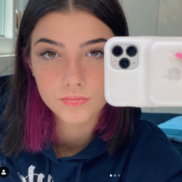 quien es el cu&ntilde;ado de charli - cuanto sabes de Charli D'amelio