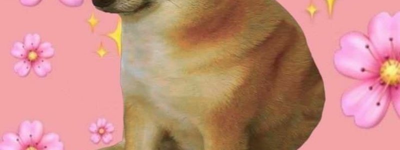 &iquest;Qu&eacute; tan puta eres? 