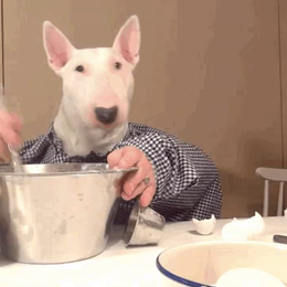 &iquest;Que es un tanto? - Gustos de anime y conocimientos 