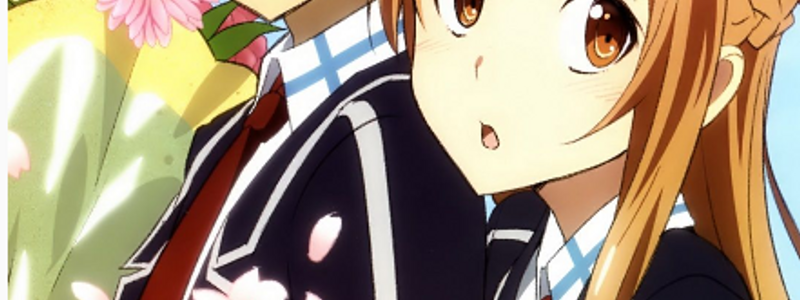 Eres un@ Otaku
