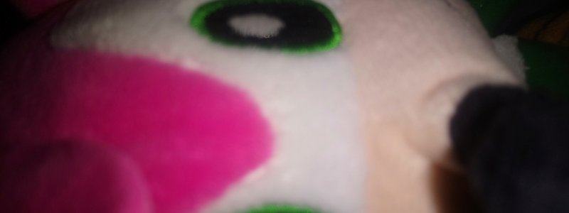 ¿Cuanto sabes sobre amy? 