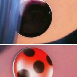 Qui&eacute;n es el portador del miraculous de la mariquita  - Cuanto sabes de MIRACULOUS  