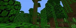 Preguntas y respuestas: &iquest;CUANTO SABES DE MINECRAFT?